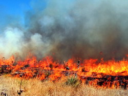 Atentie! Arderea miristilor si a vegetatiei uscate de pe terenurile agricole este interzisa
