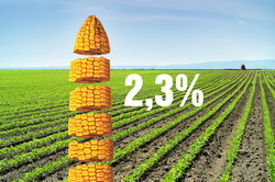 FAO: Crestere brusca in luna martie a preturilor la produsele agroalimentare