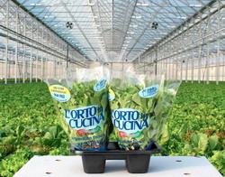 SempreFresco2 resize