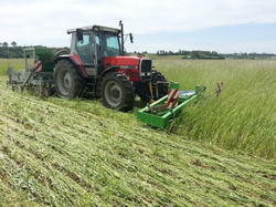 Tehnologie ecologica de control al buruienilor si a eroziunii solului