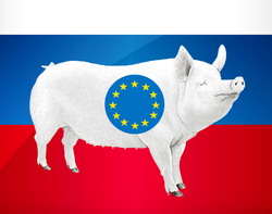 UE contesta interdictia impusa de Rusia asupra importurilor de carne de porc