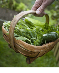 400 de milioane de ferme mici vor putea fi certificate ecologic