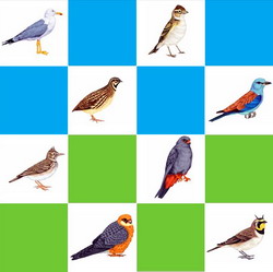 Romania a realizat prima raportare nationala pe Directiva Pasari