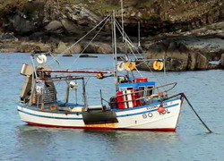 Metodele traditionale reprezinta viitorul pescuitului in Europa