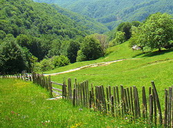 terenuri Natura 2000