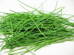 win08 baby-green-onion-harvest resize