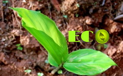 Vrei sa inveti sa faci agricultura ecologica? Inscrie-te la cursul acreditat din 24-27 mai!