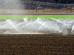 Fonduri Irigatii PNDR