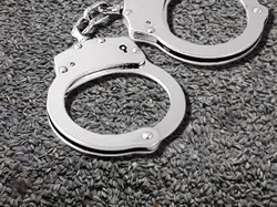 Floarea sorelui si pesticide detinute ilegal, ridicate de politisti