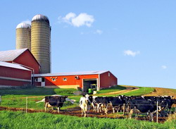 S-a lansat sesiunea de cereri de proiecte pentru Masura 121 – Modernizarea exploatatiilor agricole, din noul PNDR 2014-2020