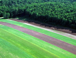 Doua noi masuri in cadrul PNDR 2014 – 2020: Comasarea terenurilor si Silvomediu