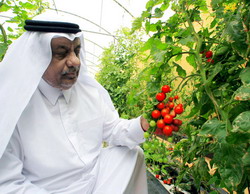 Sibiul va coopera cu Statul Qatar in economie, agricultura si turism