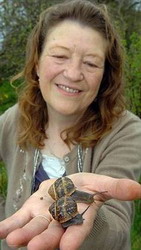 Retete culinare de melci de la un gradinar