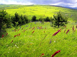Agricultura durabila si biodiversitatea Romaniei – Castigatorii concursului Natura 2000