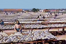 Cod uscat traditional portughez