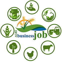 Top-Agricultural-Universities-in-Pakistan-List copy