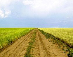 Comunele din zona ITI ar putea avea prioritate la accesarea de fonduri prin PNDR