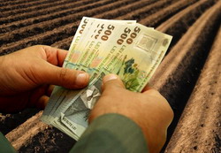 Pana pe 26 mai se depun declaratiile de venit din activitati agricole de catre persoanele fizice