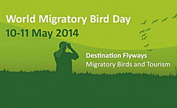 Ziua Mondiala a Pasarilor Migratoare