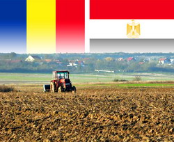 Egiptul interesat de dezvoltarea afacerilor agricole in judetul Bihor