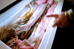 Evaziune fiscala si braconaj piscicol cu tone de sturion si calcan