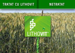 montaj lithovit cereale