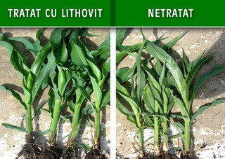 montaj lithovit cereale1