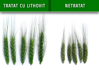 montaj lithovit cereale6