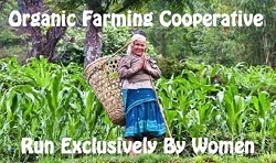 nepal womens coop