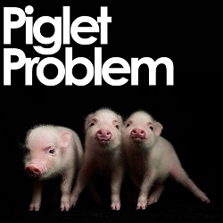 Un nou virus la purcei va provoca un deficit record la carnea de porc