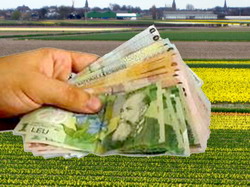 26 mai – Data limita de depunere a declaratiei pentru veniturile realizate in 2013