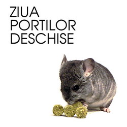 Ziua Portilor Deschise – Crescatorii de Chinchilla din Romania