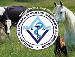 Se implinesc 10 ani de la costituirea ANSVSA