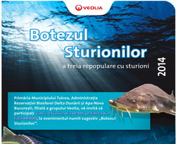 „Botezul Sturionilor” – Repopularea Dunarii cu 1.000 sturioni