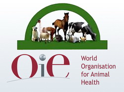 Conferinta regionala-OIE Bucuresti