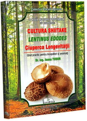 Cultura Shiitake – Lentinus edodes, ciuperca longevitatii