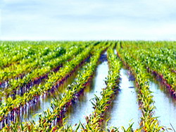 Indiguirea asezarilor si terenurilor agricole discutate la seminarul Asia-Europa de la Tulcea