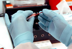 Laborator de analiza sanitar-veterinara