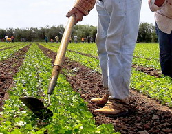 Legislatie zilieri 2014