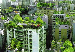 Sa transformam orasele in gradini