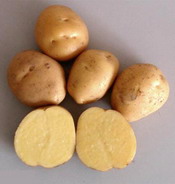 Soi romanesc cartofi  ETERNA