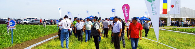 Summitterra 2014 Baraganul 2