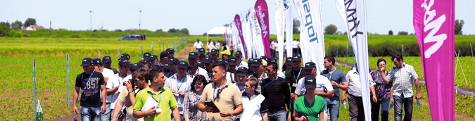 Summitterra 2014 Grabat 1