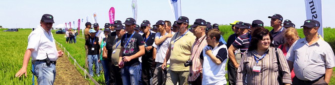 Summitterra 2014 Grabat 2