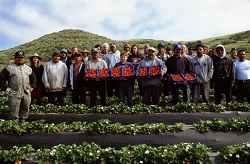 Swanton Berry Farm Family