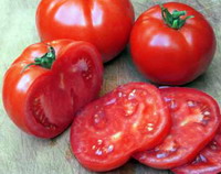 Tomate cultivate toamna-Big Beef-F1