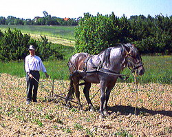 Care au fost veniturile si cheltuielile gospodariilor de la tara in 2013?