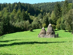 Folosirea rationala a fanetelor