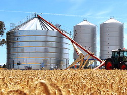 Noua lege privind depozitarea semintelor de consum a fost adoptata de Parlament