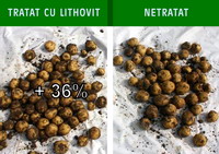 lithovit-legume-2